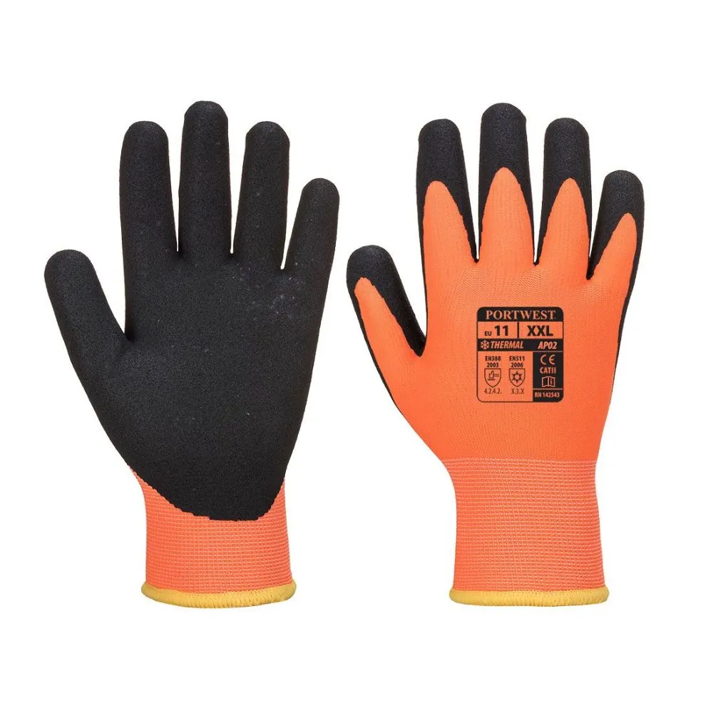 Termo pro ultra pirštinės Portwest AP02