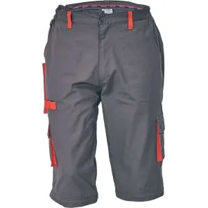 Kelnės darbui Australian line workwear DESMAN 2in1