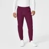 Wink 5819 bordo vyriškos kelnės