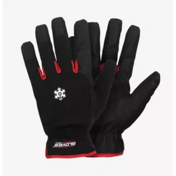 Šiltos darbo pirštinės Gloves Pro Red 10