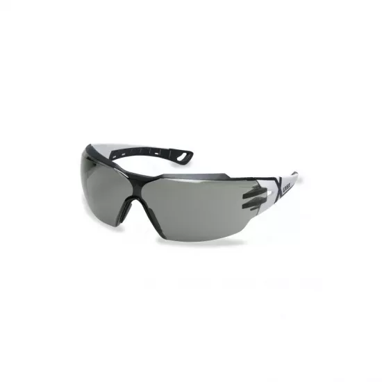 Apsauginiai akiniai Uvex Phoes CX2 9198237, tamsinti