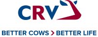 CRV workwear